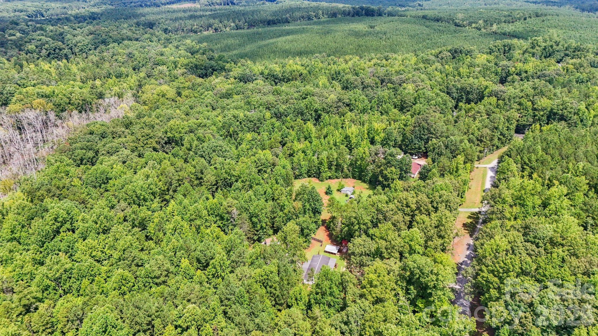 3312 Mcconnells Highway Property Photo 42
