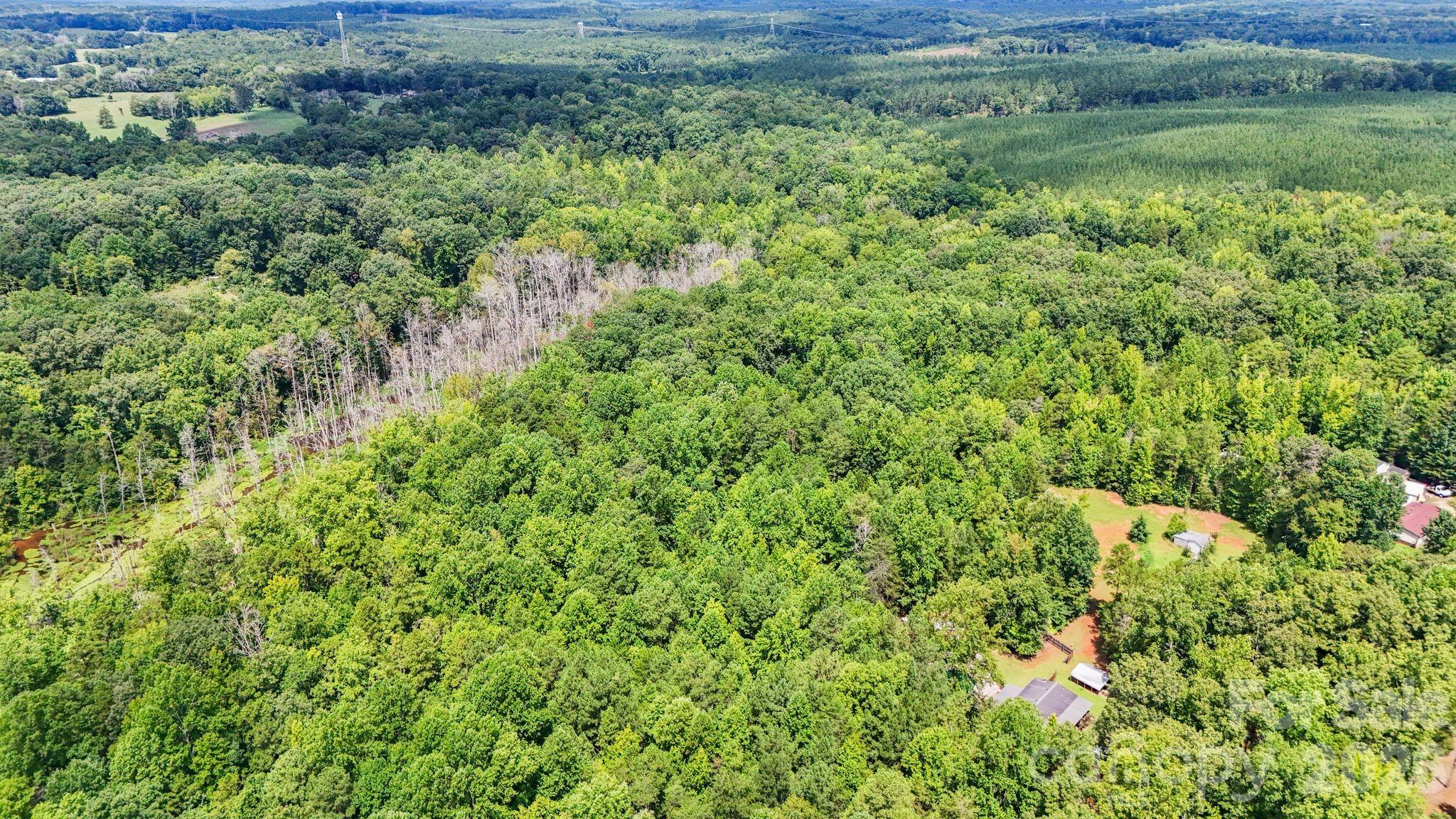3312 Mcconnells Highway Property Photo 43