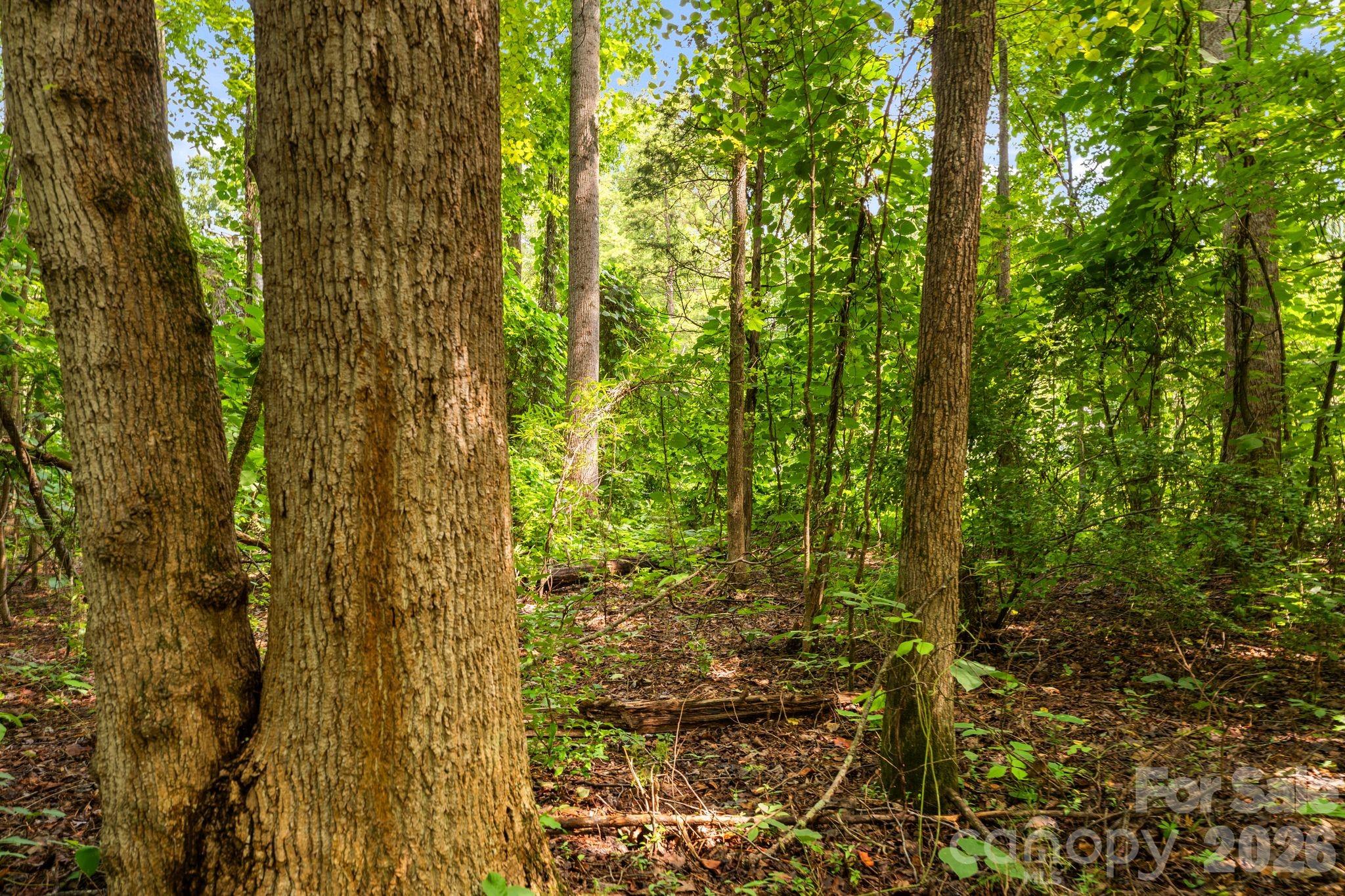 3312 Mcconnells Highway Property Photo 47