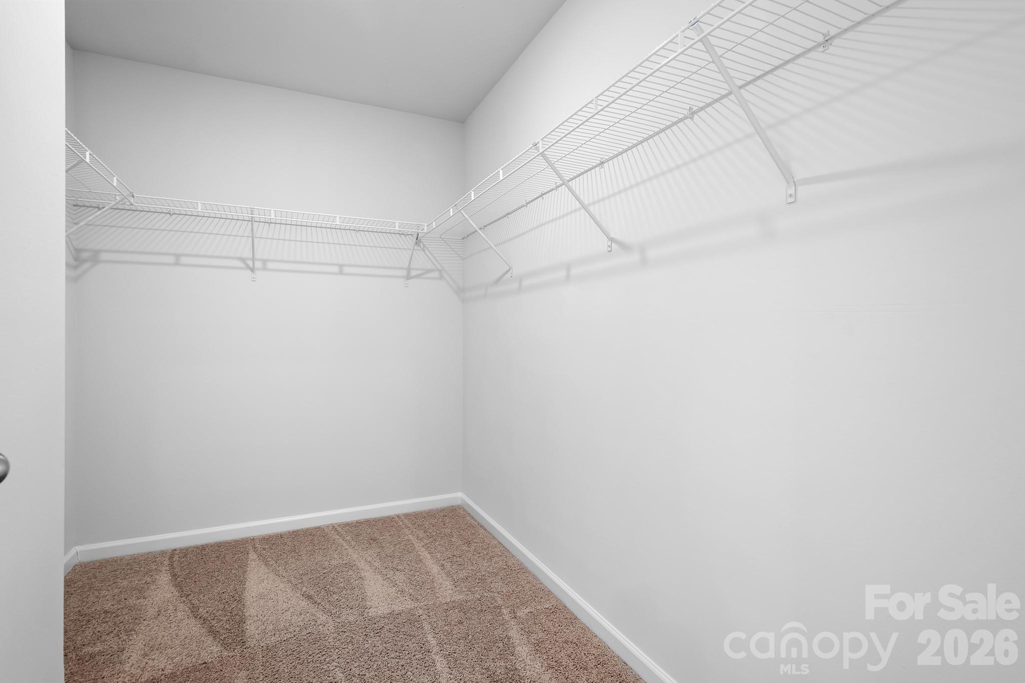 226 Caley Street Property Photo 18