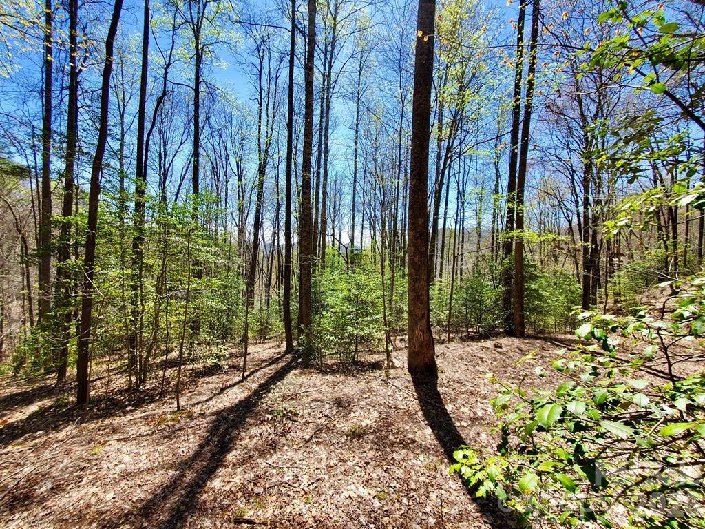 Lot 9 Hemlock Falls Drive 9 Property Photo 1