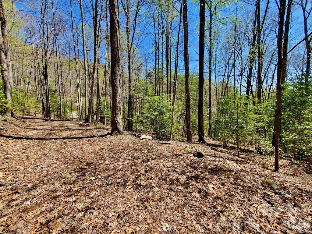 Lot 9 Hemlock Falls Drive 9 Property Photo 2