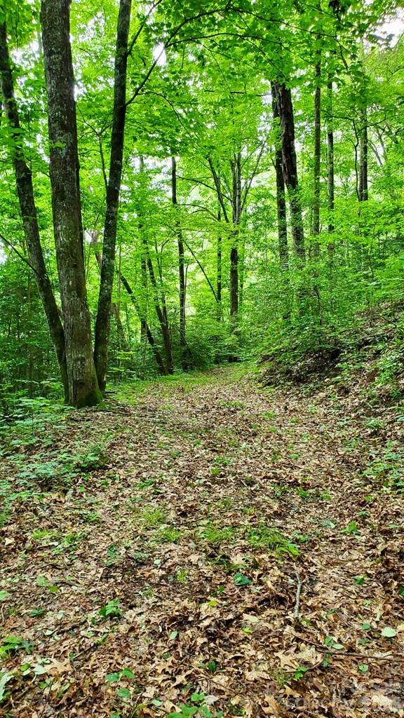 Lot 9 Hemlock Falls Drive 9 Property Photo 3