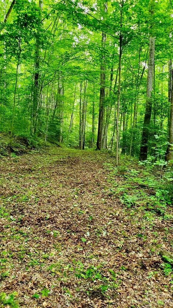 Lot 9 Hemlock Falls Drive 9 Property Photo 4