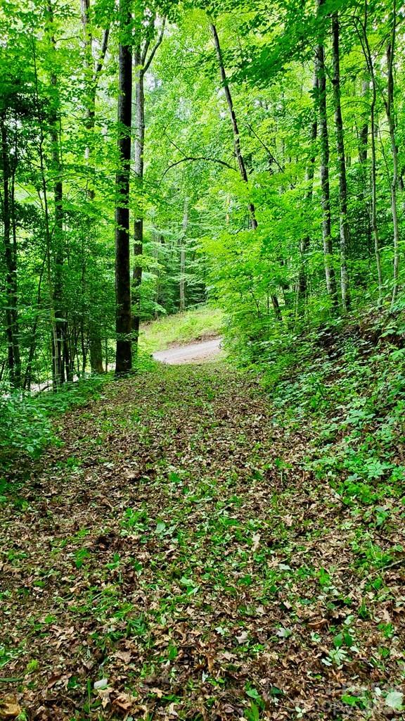Lot 9 Hemlock Falls Drive 9 Property Photo 5