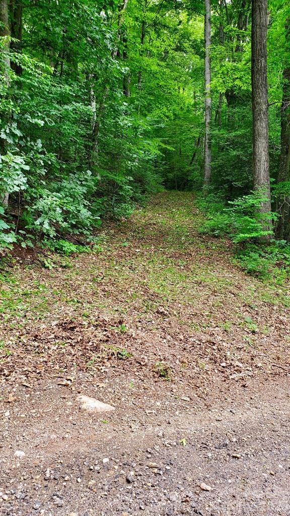 Lot 9 Hemlock Falls Drive 9 Property Photo 6