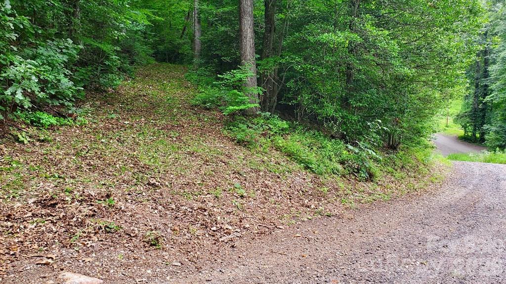 Lot 9 Hemlock Falls Drive 9 Property Photo 7