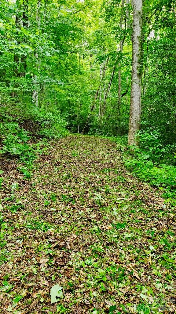 Lot 9 Hemlock Falls Drive 9 Property Photo 8