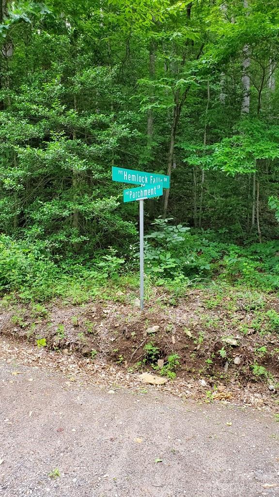 Lot 9 Hemlock Falls Drive 9 Property Photo 9