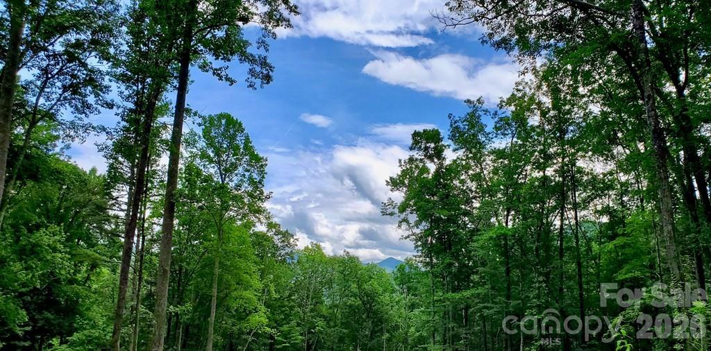 Lot 9 Hemlock Falls Drive 9 Property Photo 11