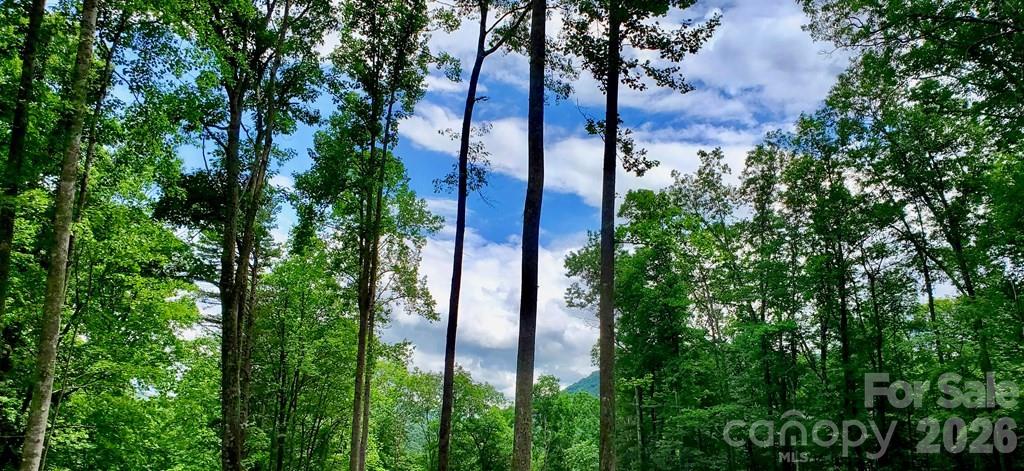 Lot 9 Hemlock Falls Drive 9 Property Photo 12