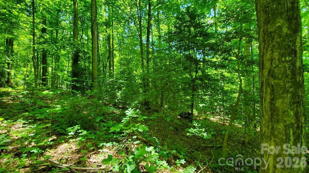 Lot 9 Hemlock Falls Drive 9 Property Photo 13