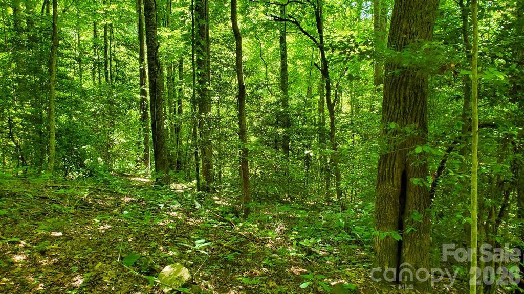 Lot 9 Hemlock Falls Drive 9 Property Photo 14