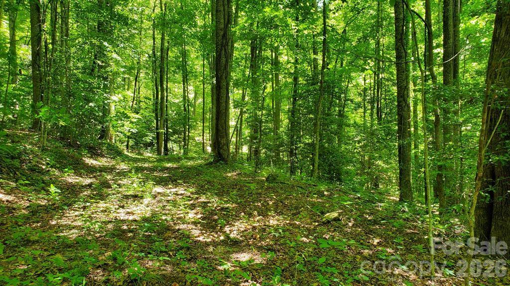 Lot 9 Hemlock Falls Drive 9 Property Photo 15