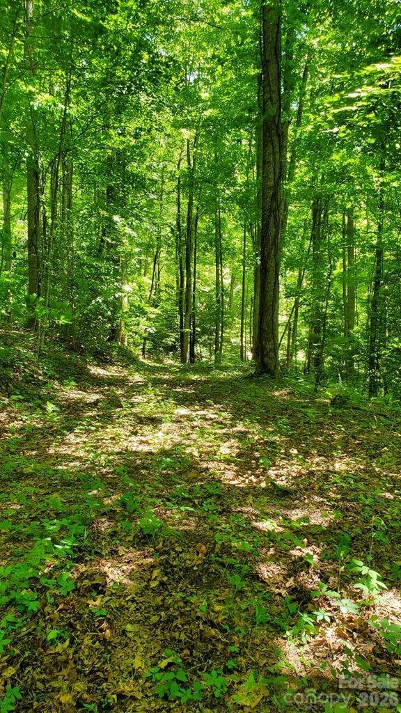 Lot 9 Hemlock Falls Drive 9 Property Photo 16