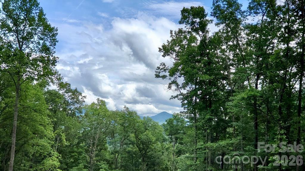 Lot 9 Hemlock Falls Drive 9 Property Photo 17