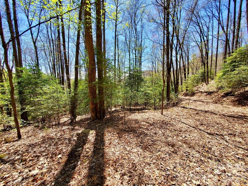 Lot 9 Hemlock Falls Drive 9 Property Photo 21