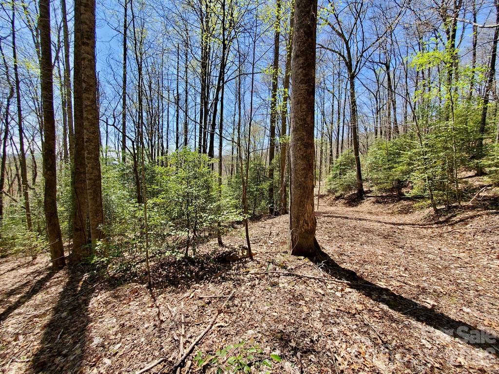 Lot 9 Hemlock Falls Drive 9 Property Photo 22