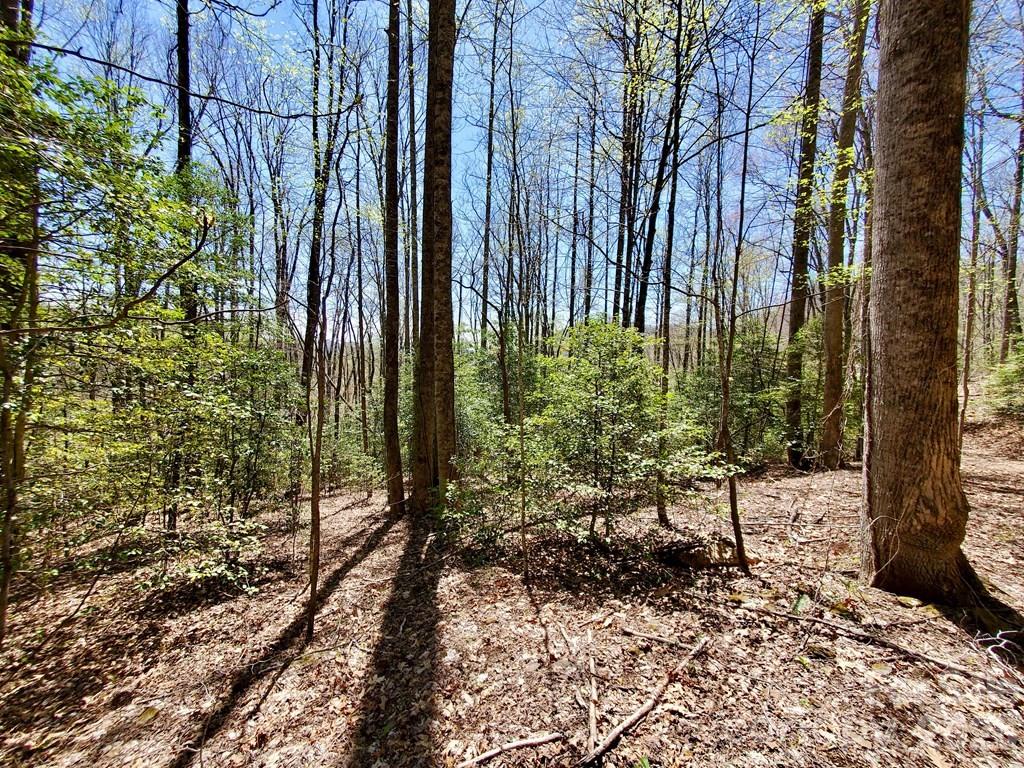 Lot 9 Hemlock Falls Drive 9 Property Photo 24