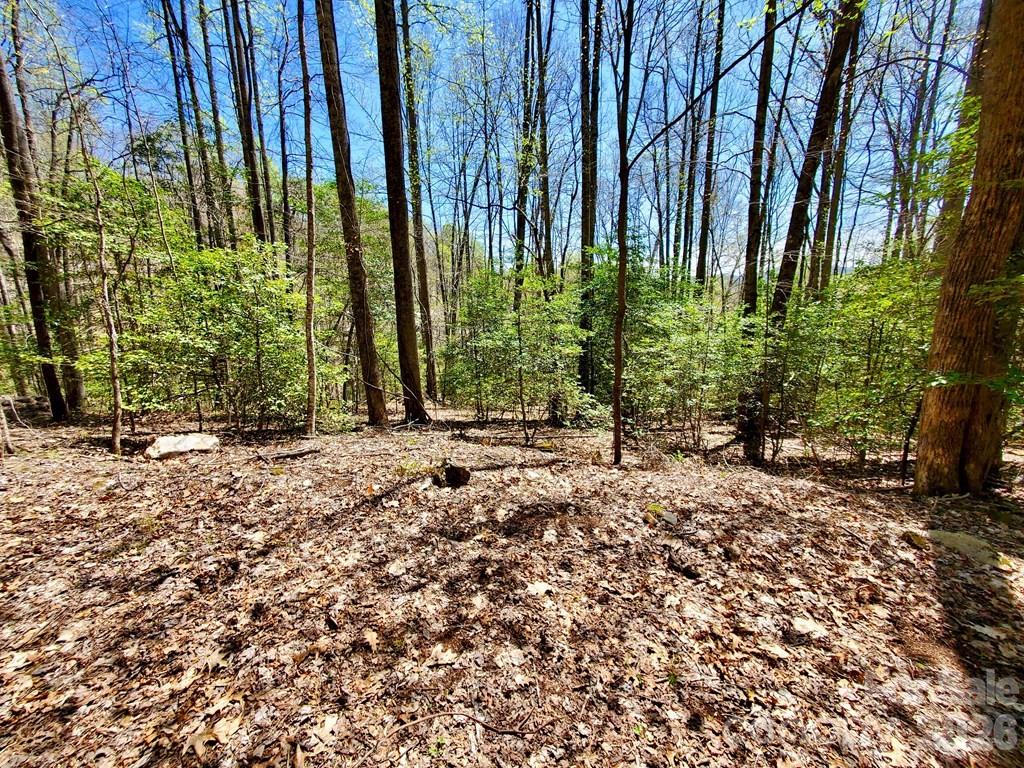 Lot 9 Hemlock Falls Drive 9 Property Photo 25