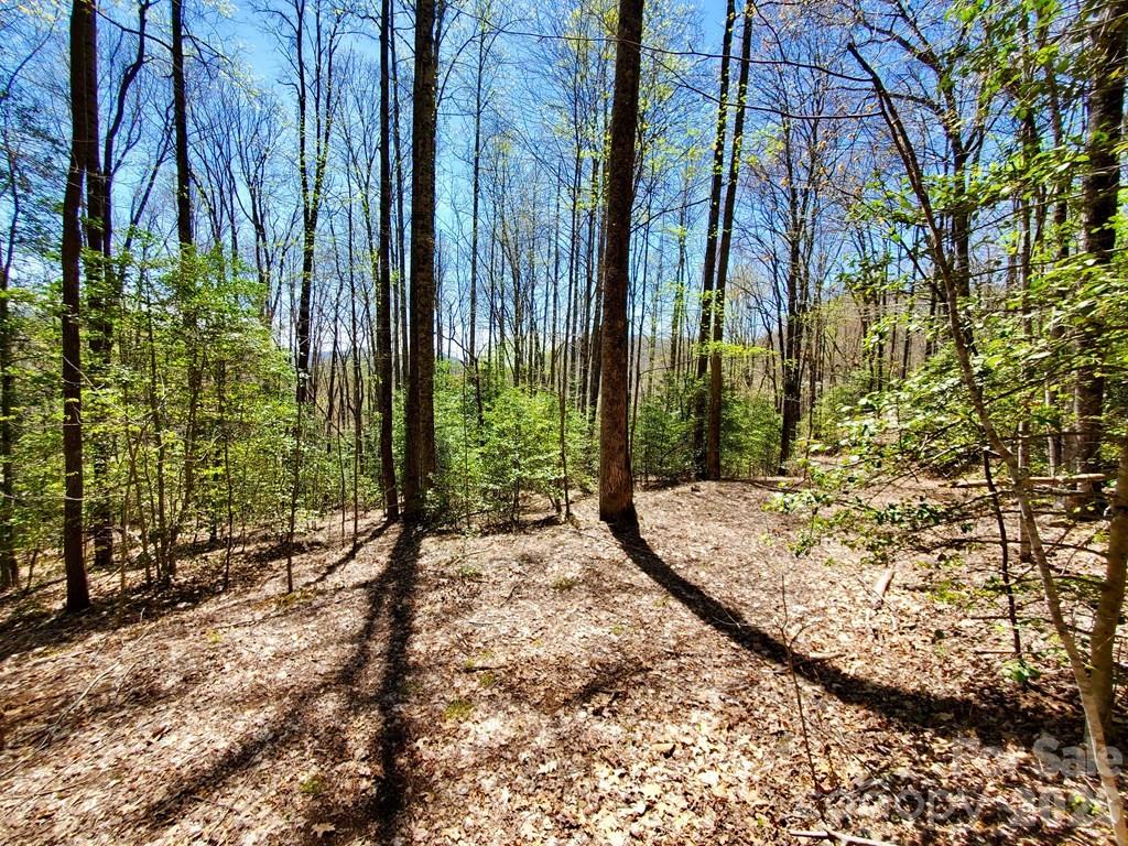Lot 9 Hemlock Falls Drive 9 Property Photo 26