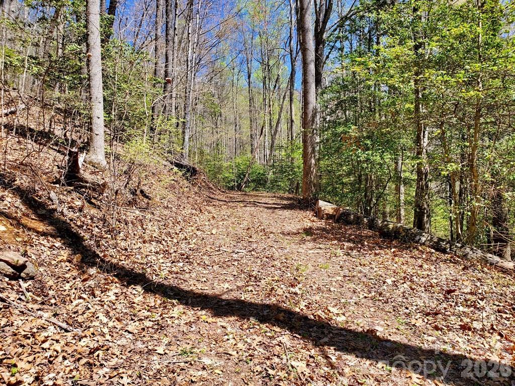 Lot 9 Hemlock Falls Drive 9 Property Photo 27