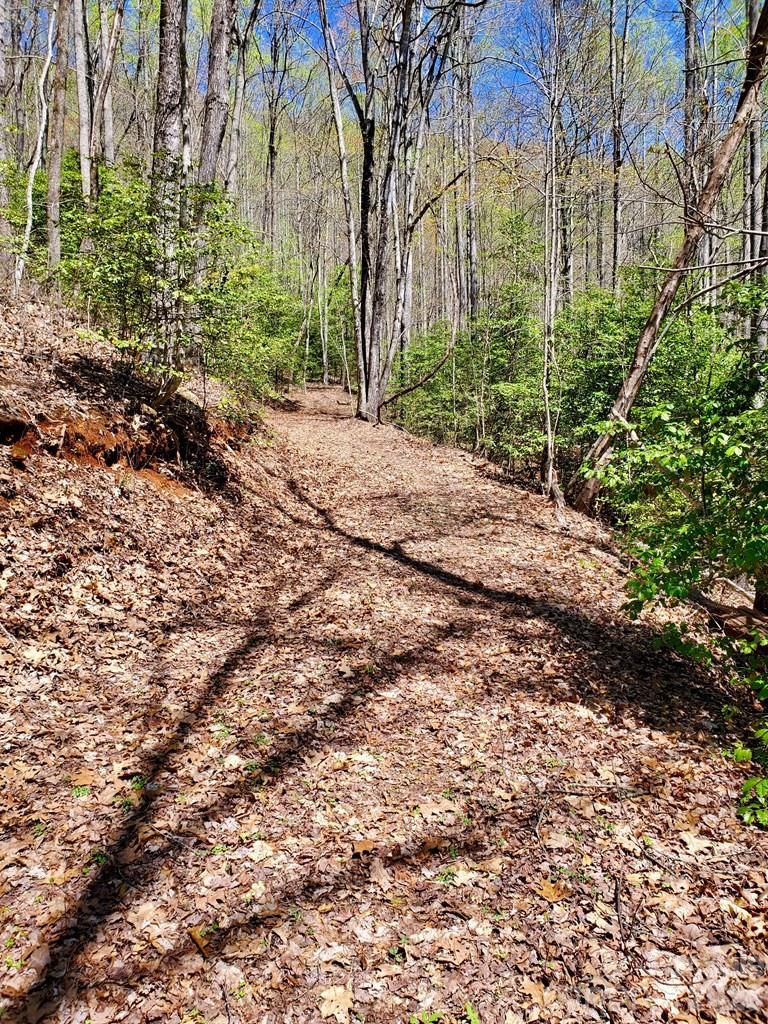 Lot 9 Hemlock Falls Drive 9 Property Photo 28