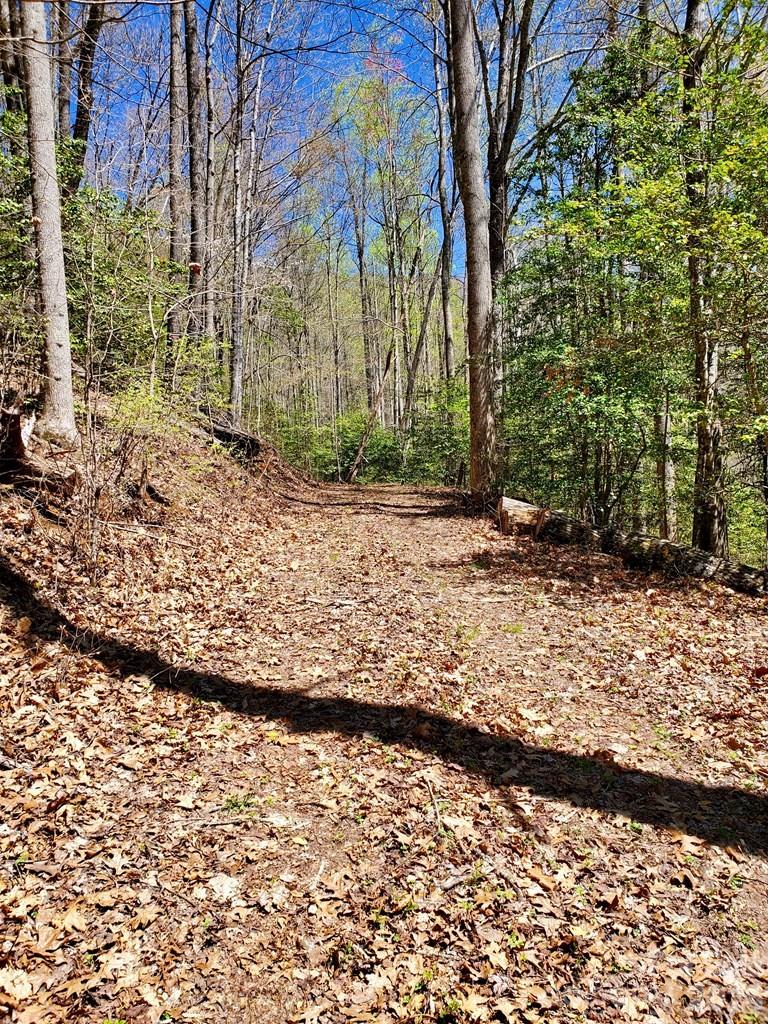 Lot 9 Hemlock Falls Drive 9 Property Photo 29