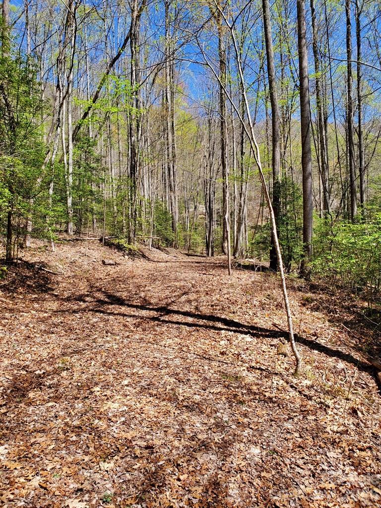 Lot 9 Hemlock Falls Drive 9 Property Photo 30