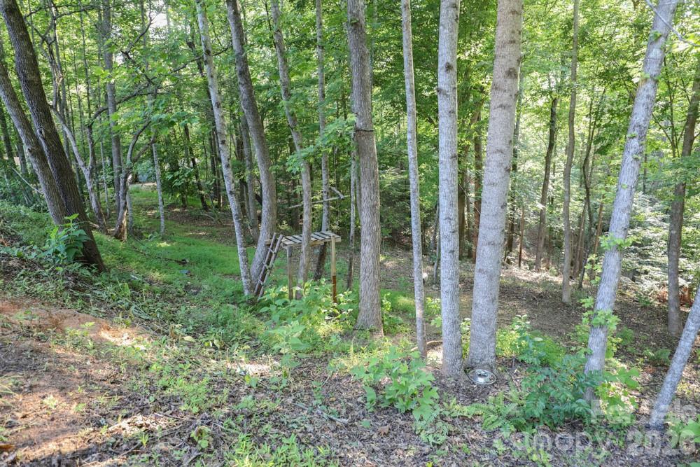 1646 Silver Street Property Photo 23