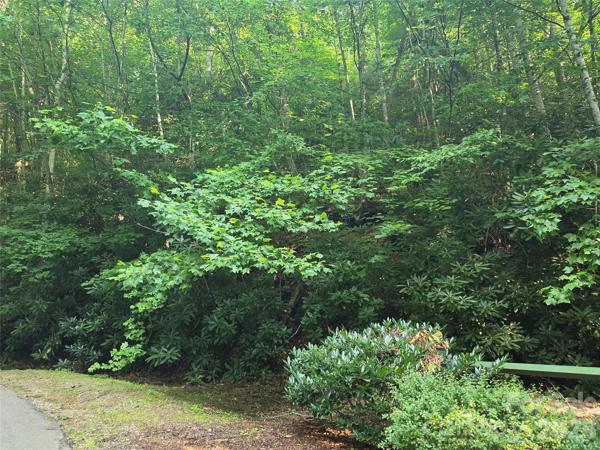 Tbd Henry Dingus Way 26 Property Photo 2