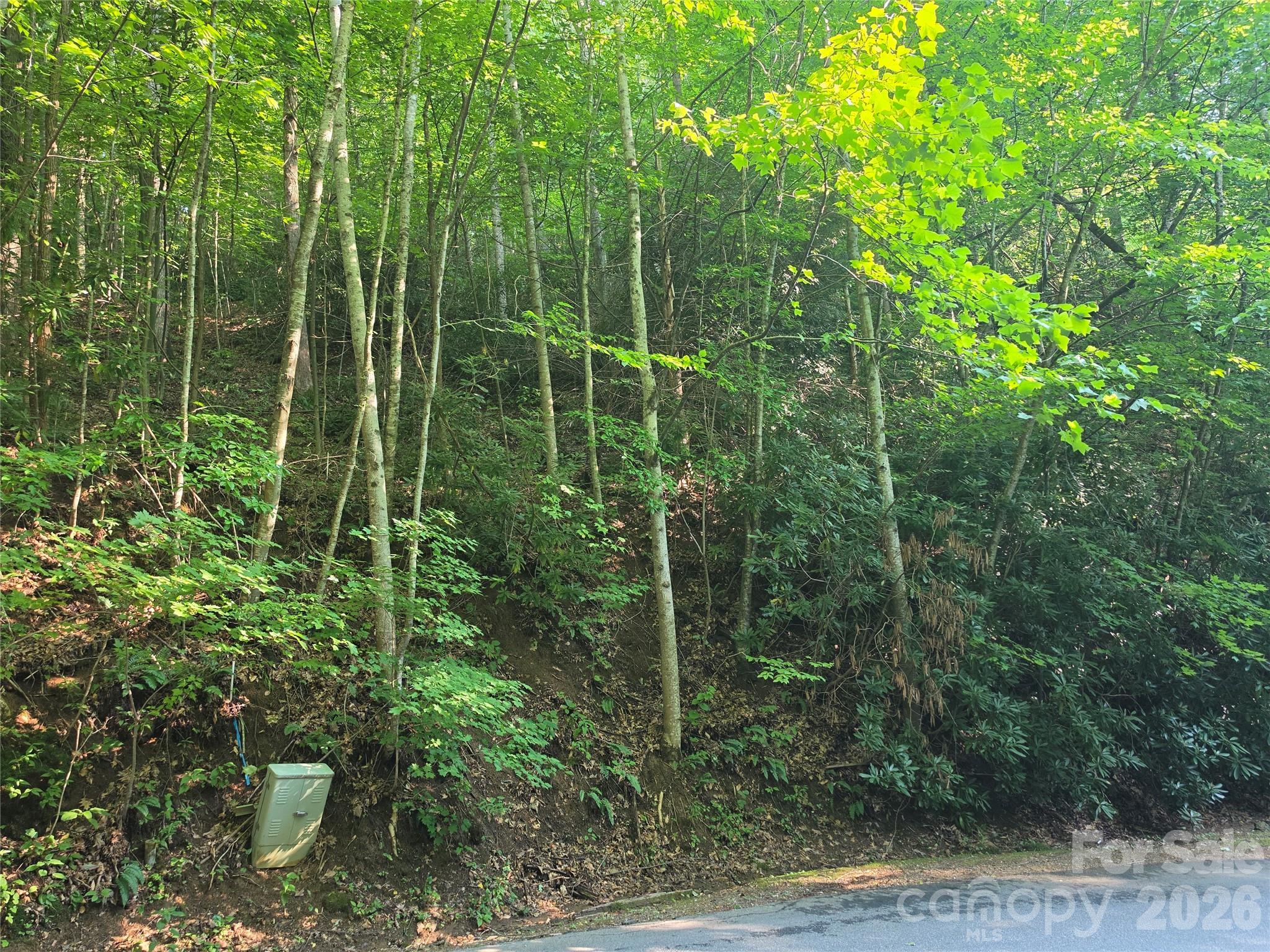 Tbd Henry Dingus Way 26 Property Photo 3