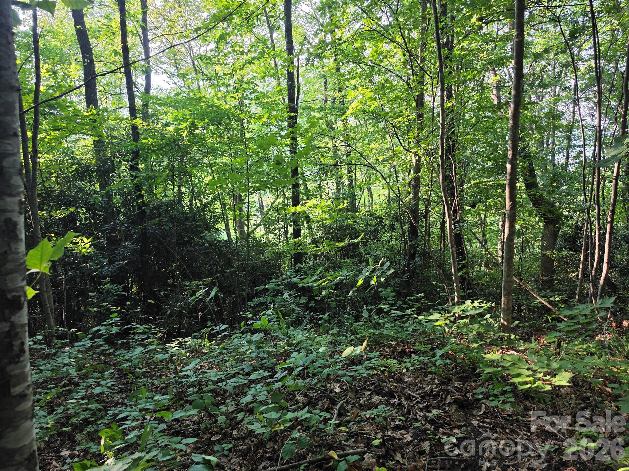 Tbd Henry Dingus Way 26 Property Photo 4