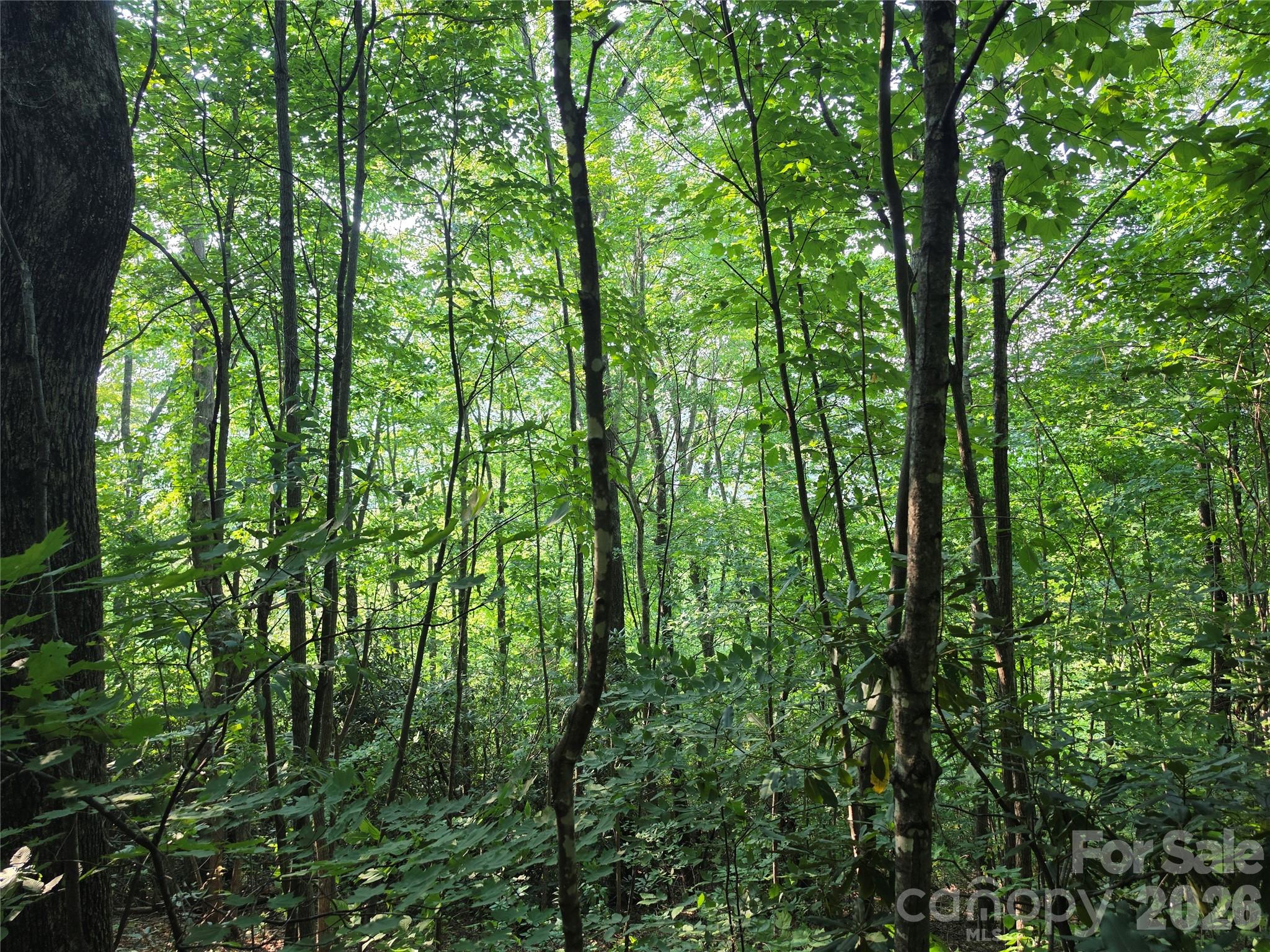 Tbd Henry Dingus Way 26 Property Photo 6