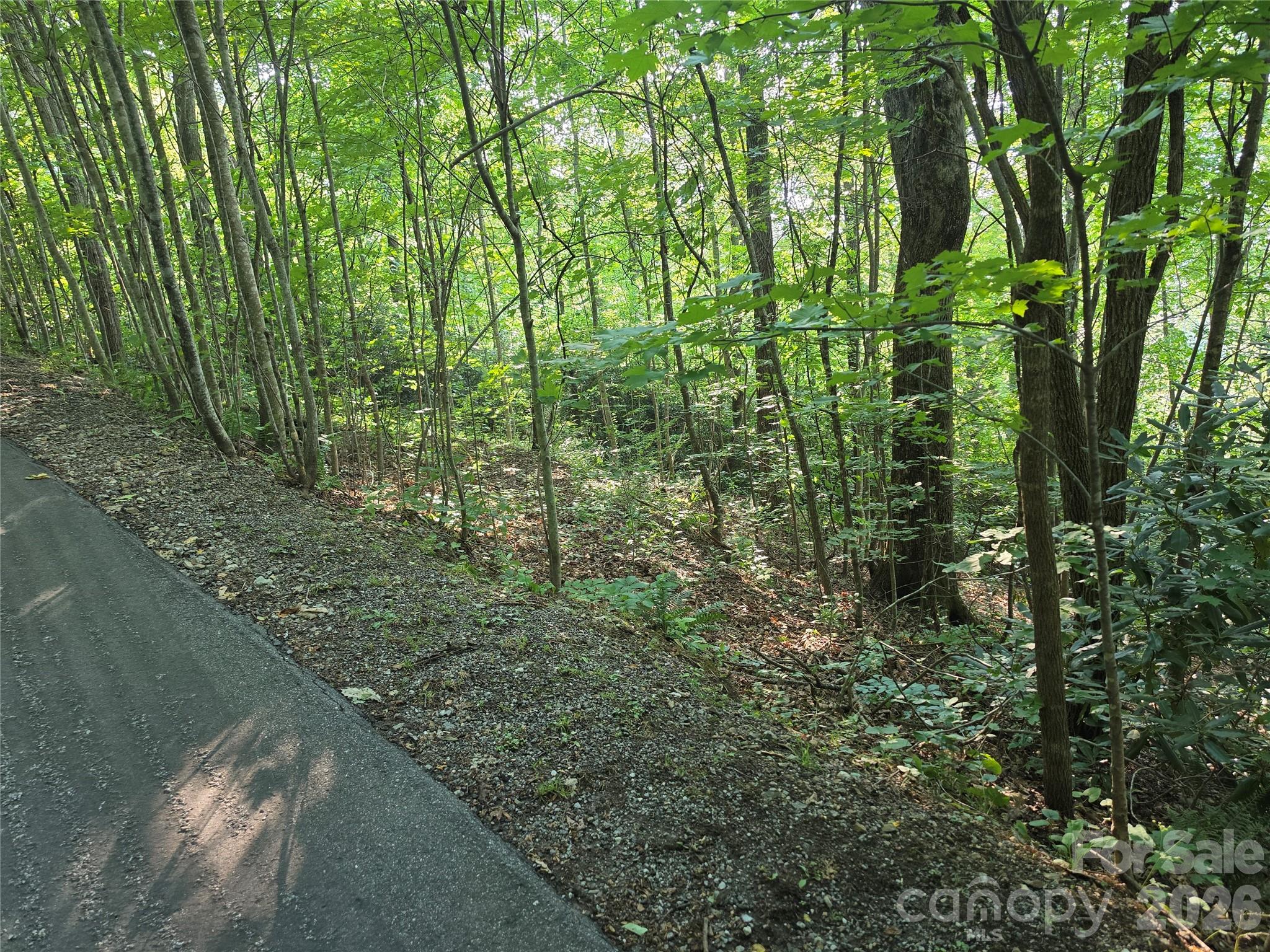 Tbd Henry Dingus Way 26 Property Photo 7