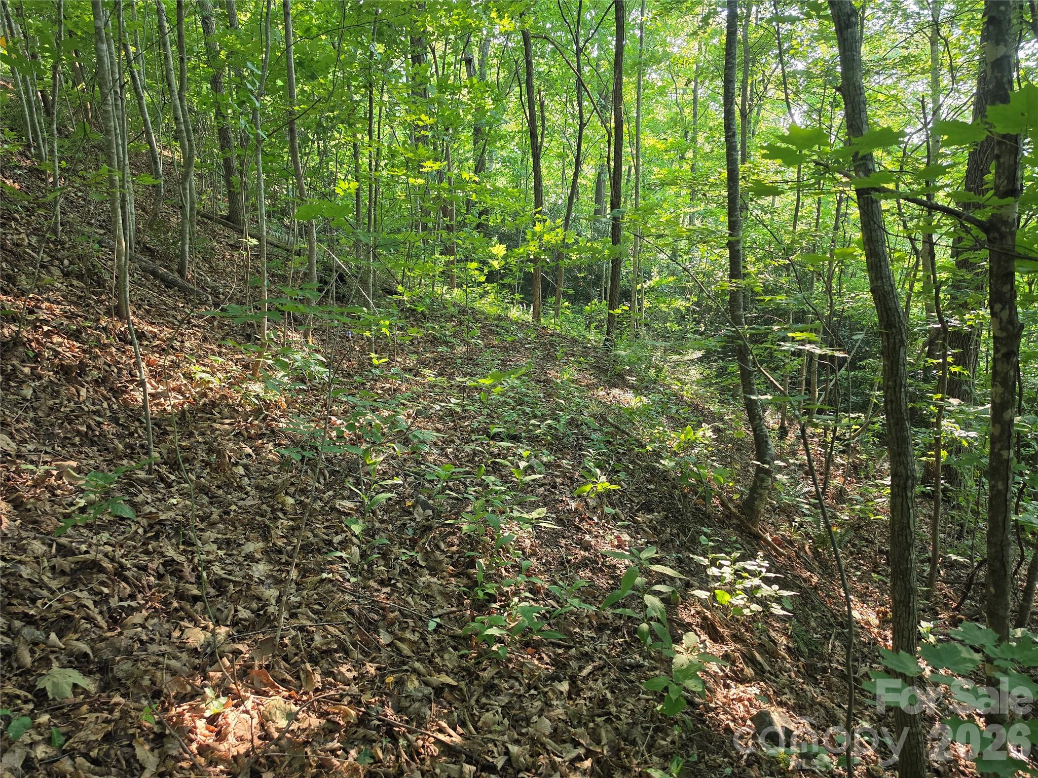 Tbd Henry Dingus Way 26 Property Photo 8