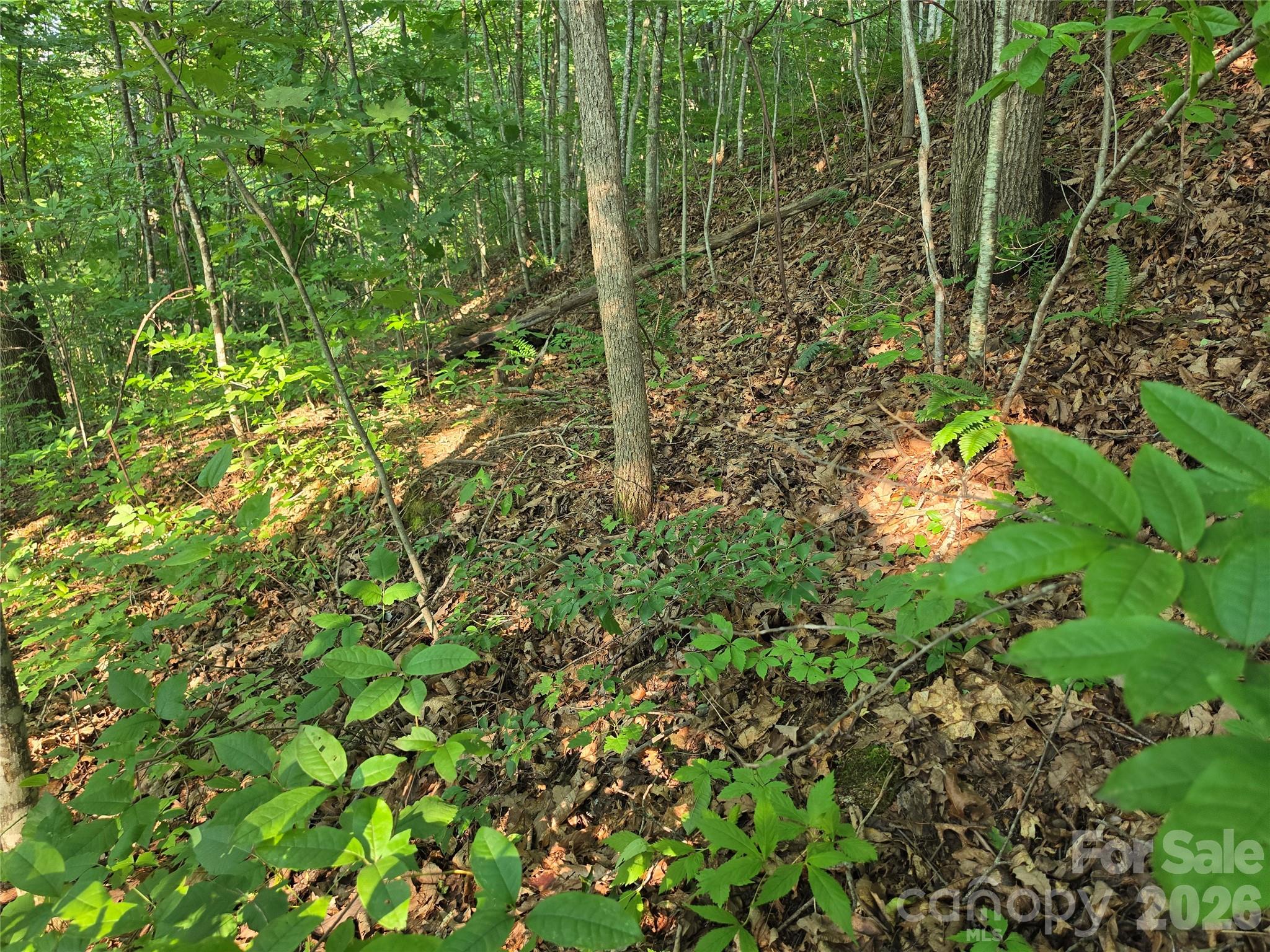 Tbd Henry Dingus Way 26 Property Photo 10