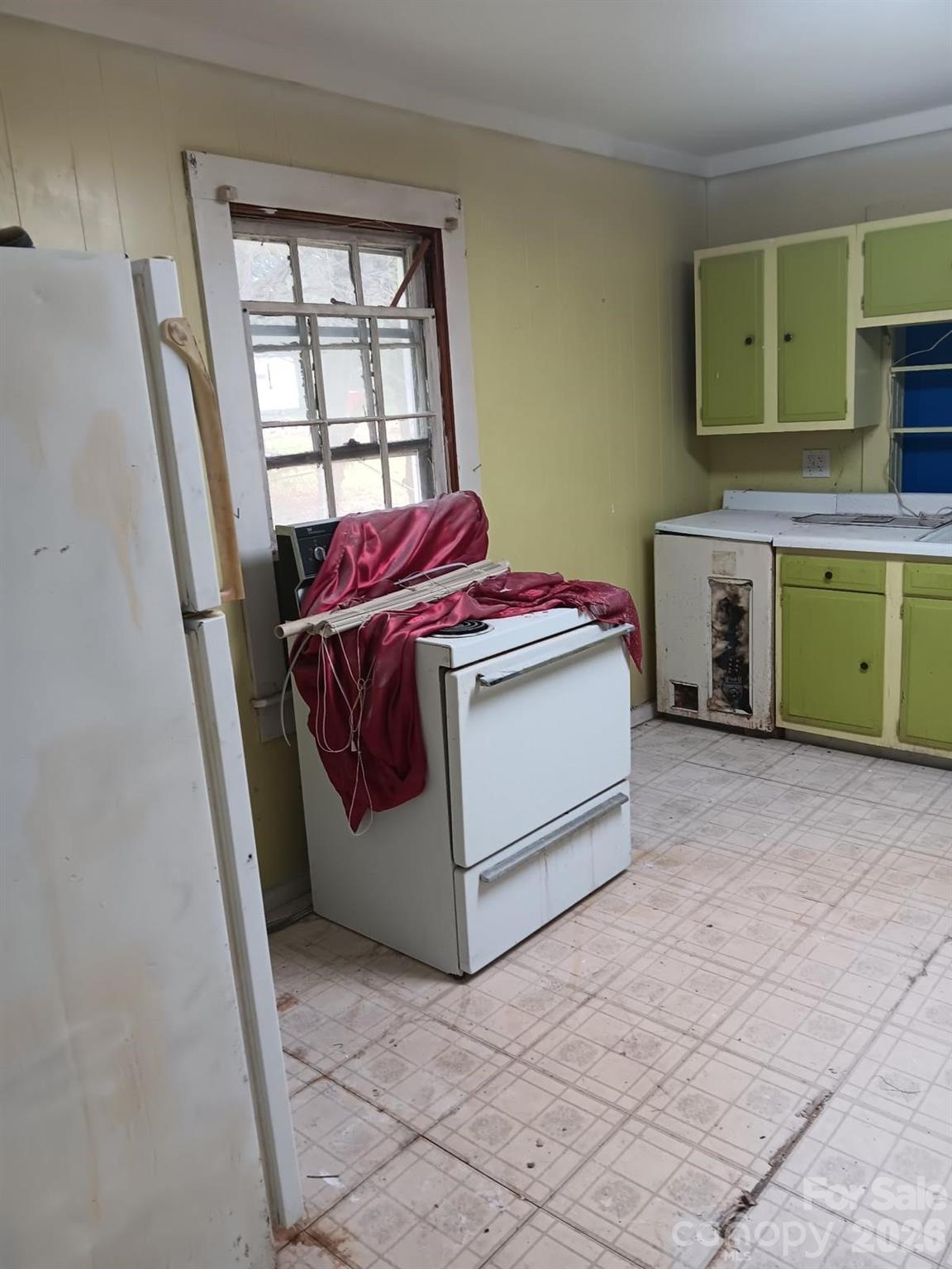 303 Lily Street Property Photo 4