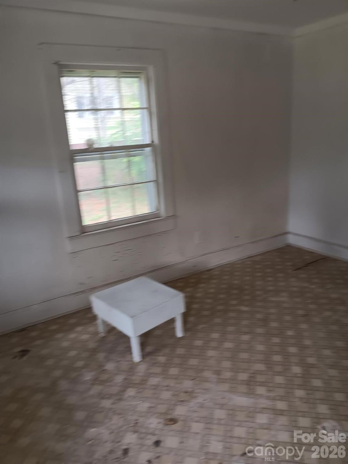 303 Lily Street Property Photo 6