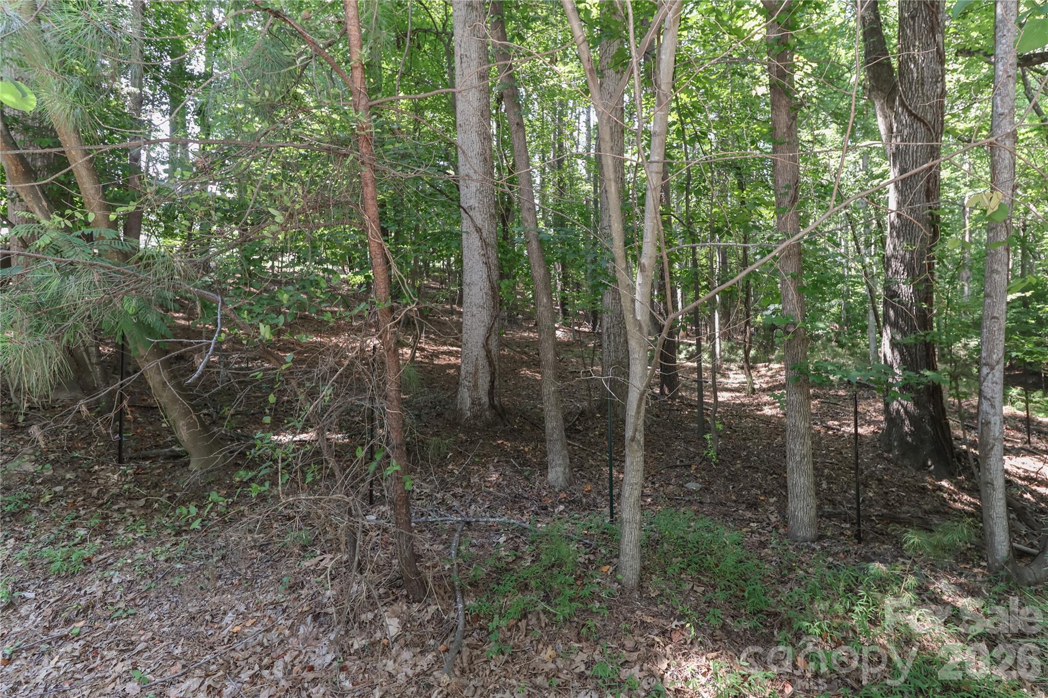 372 Kenway Loop Property Photo 6