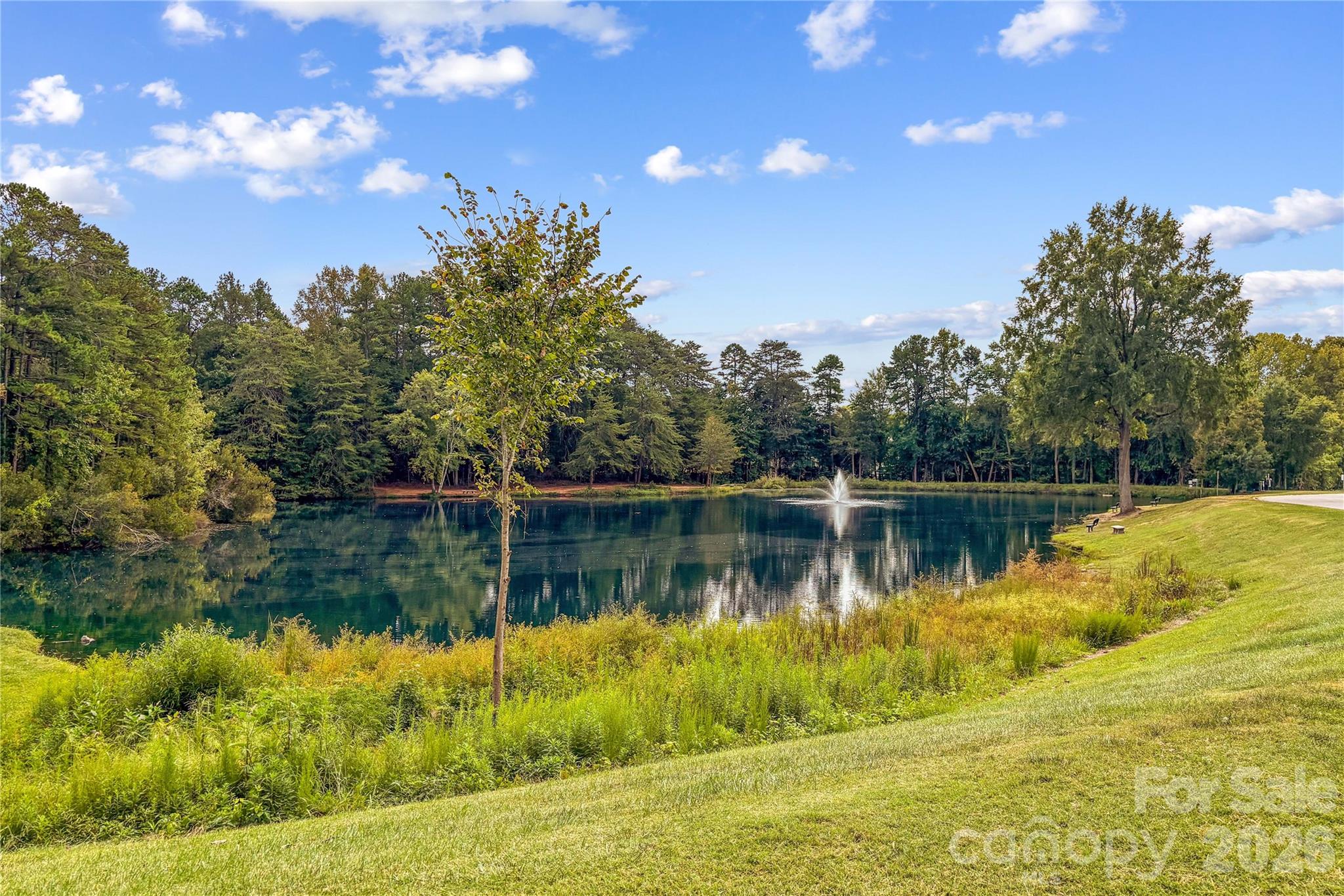 159 Bluffton Road Property Photo 48
