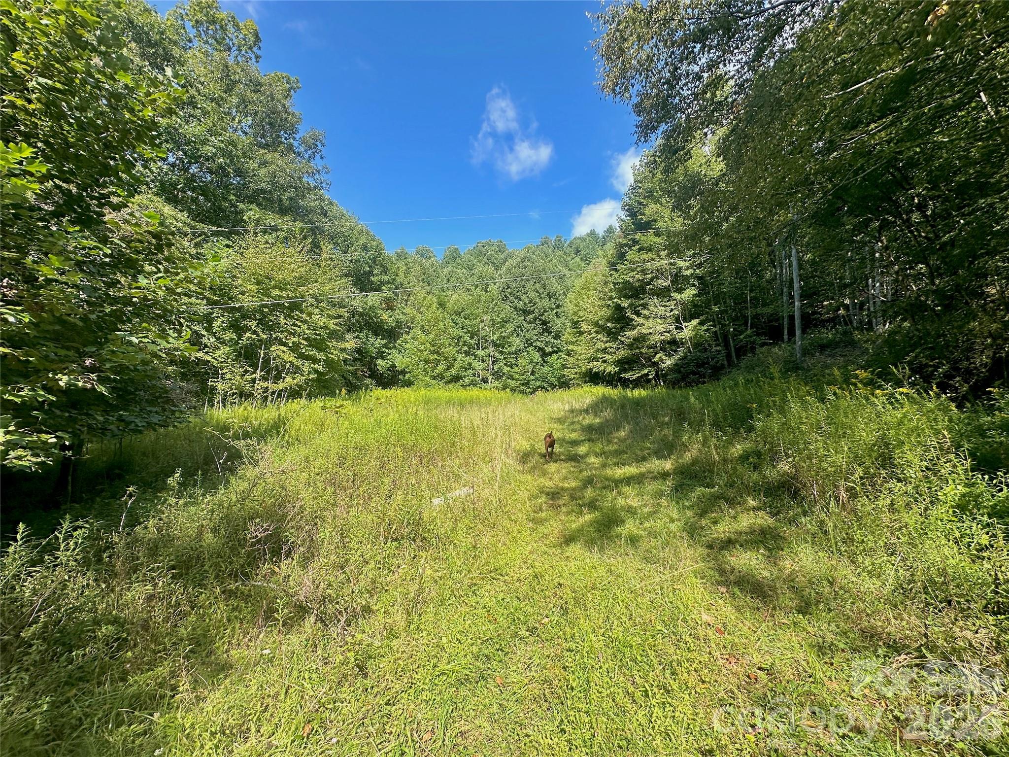 Tbd Old Anderson Quarry Road Property Photo 1
