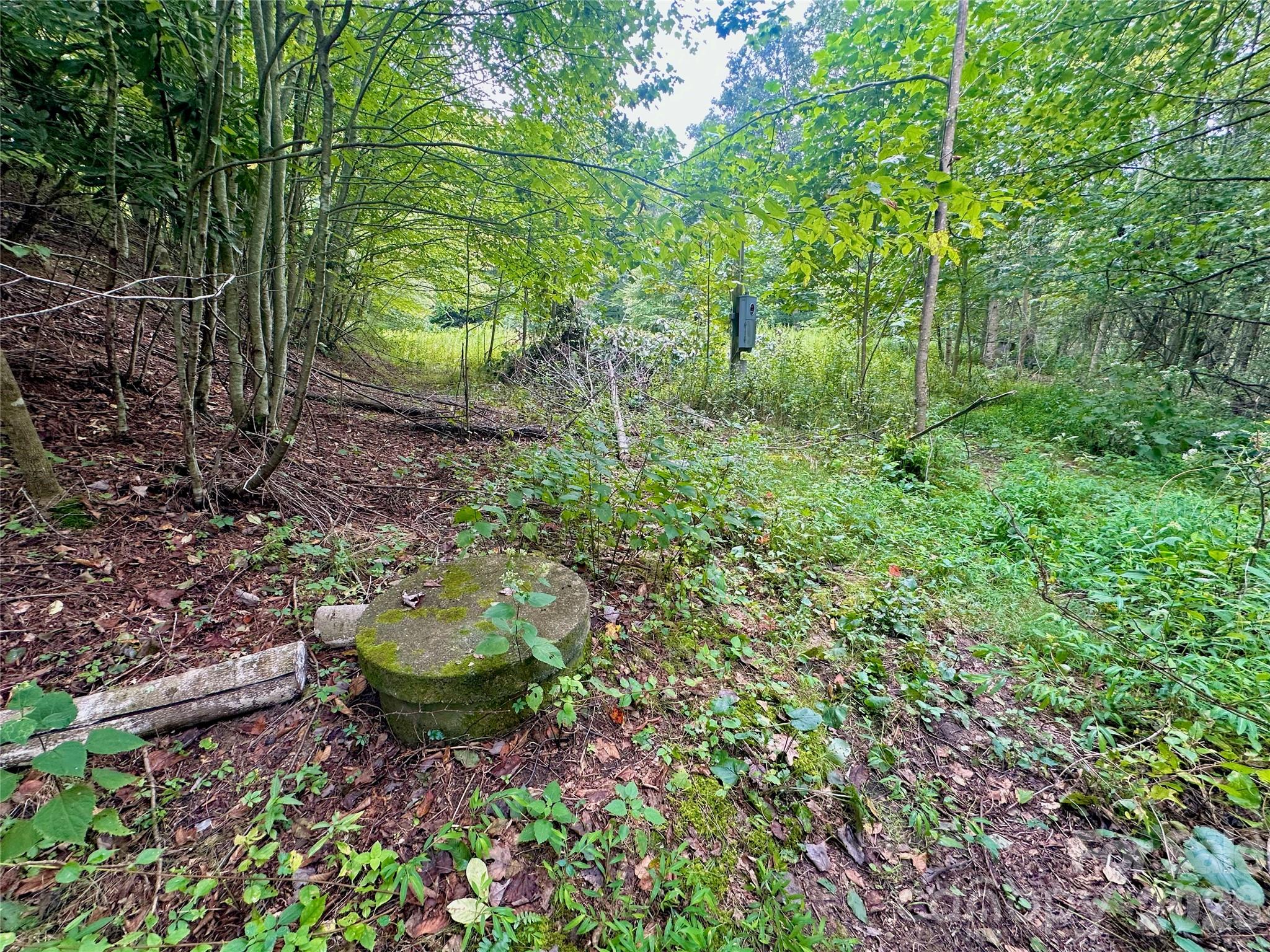 Tbd Old Anderson Quarry Road Property Photo 8