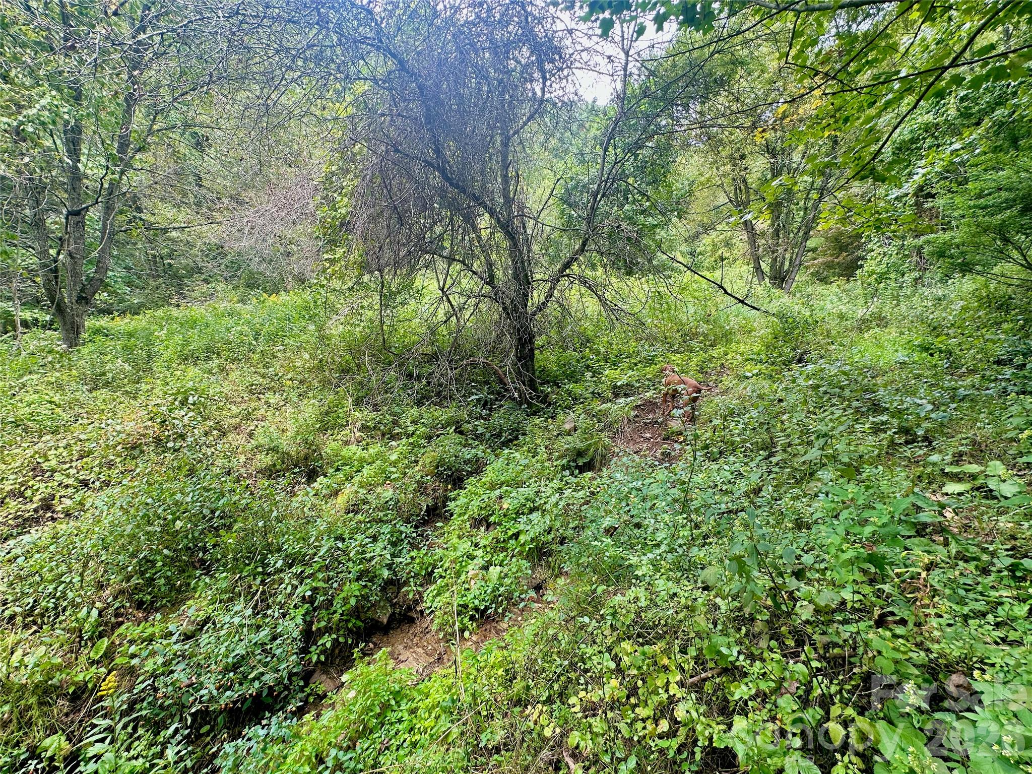 Tbd Old Anderson Quarry Road Property Photo 9
