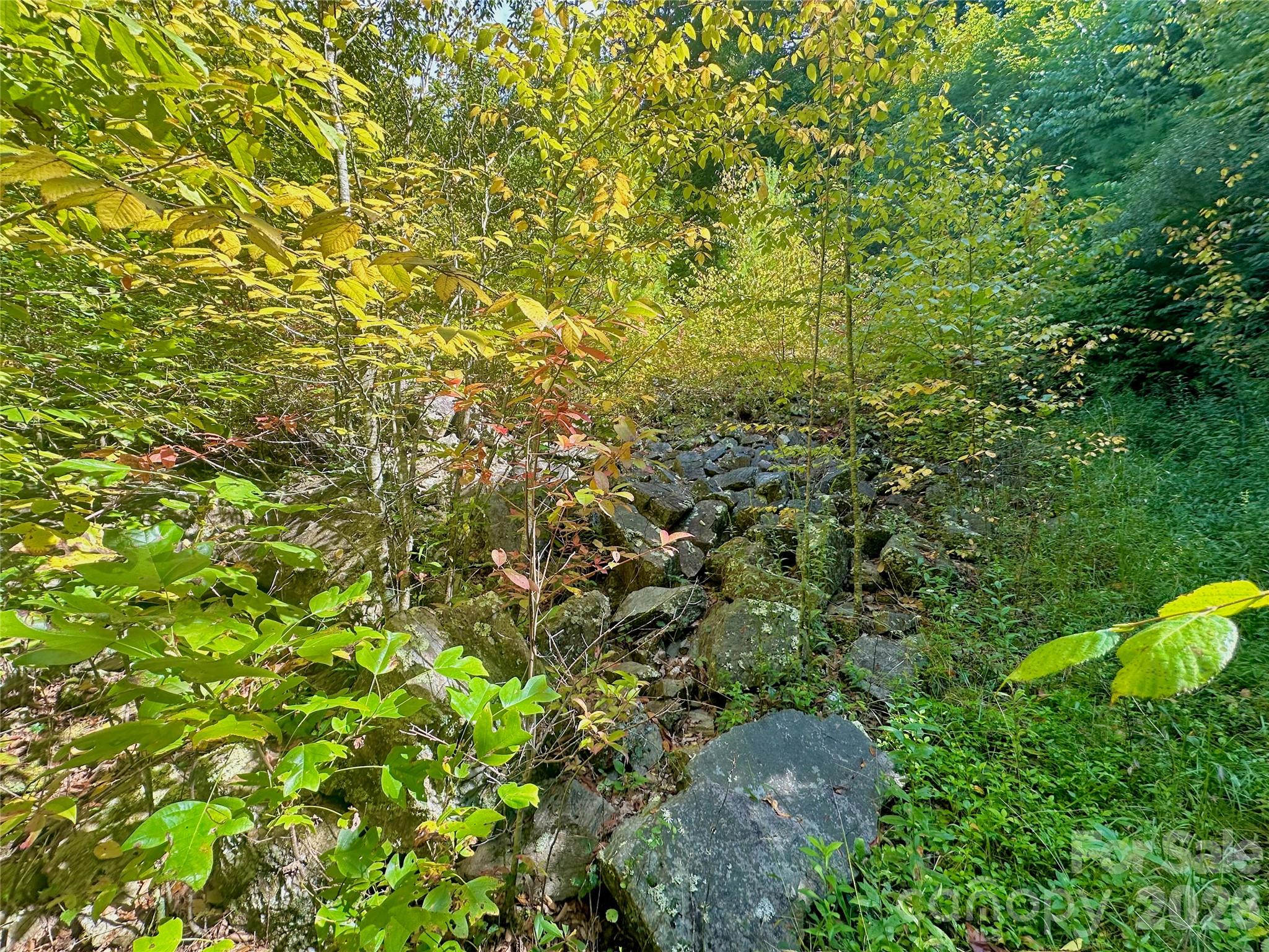 Tbd Old Anderson Quarry Road Property Photo 11
