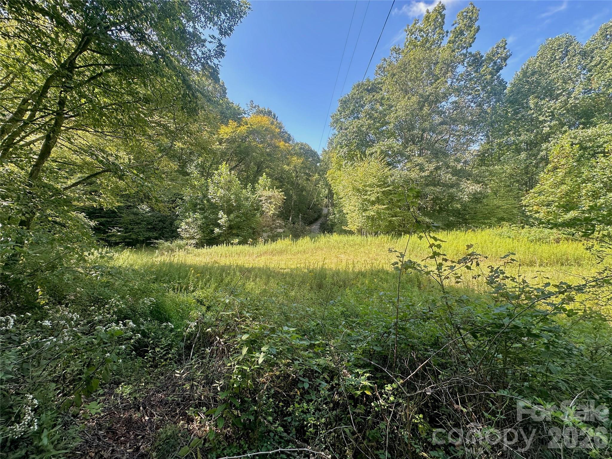 Tbd Old Anderson Quarry Road Property Photo 12