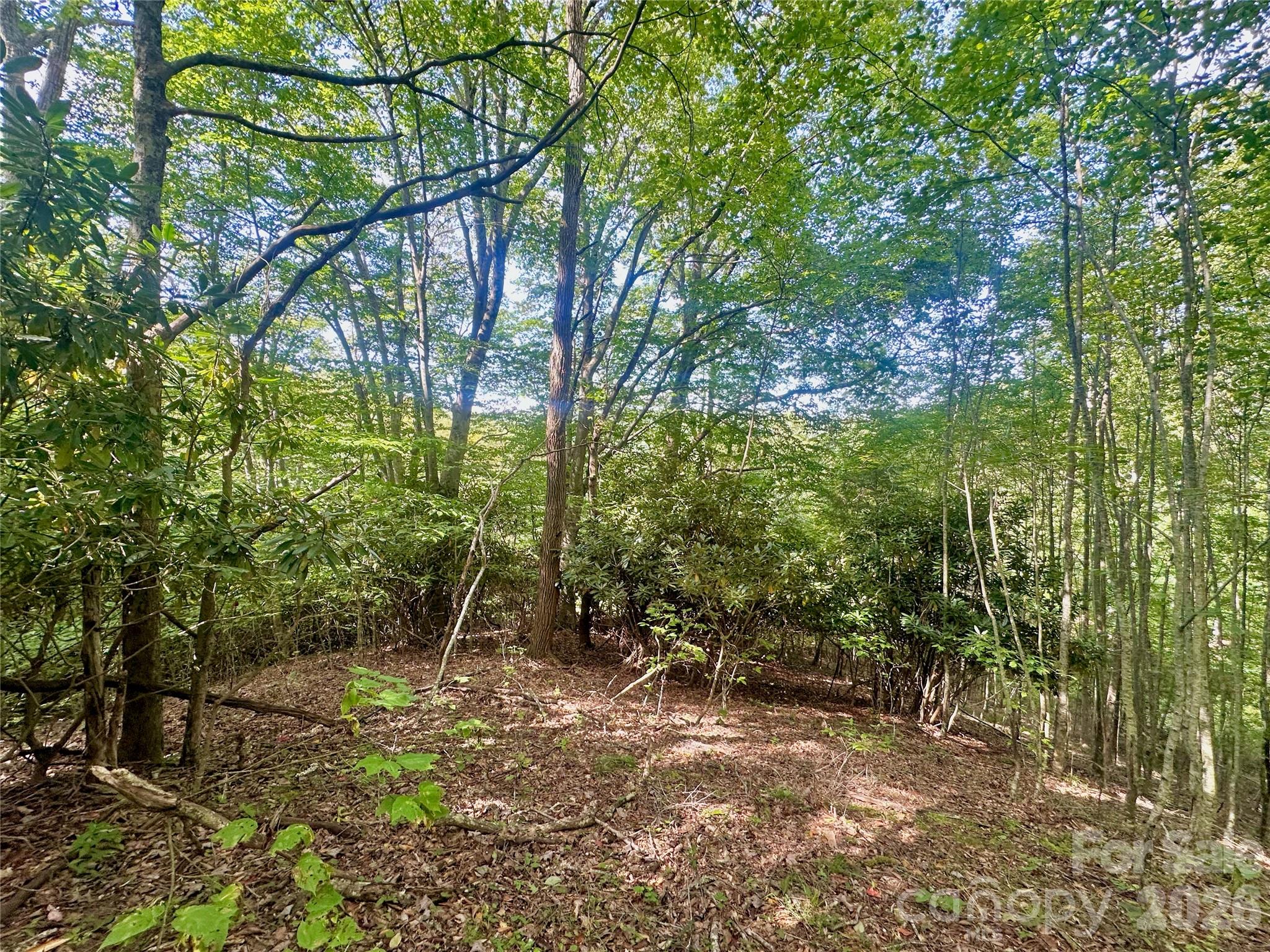 Tbd Old Anderson Quarry Road Property Photo 13