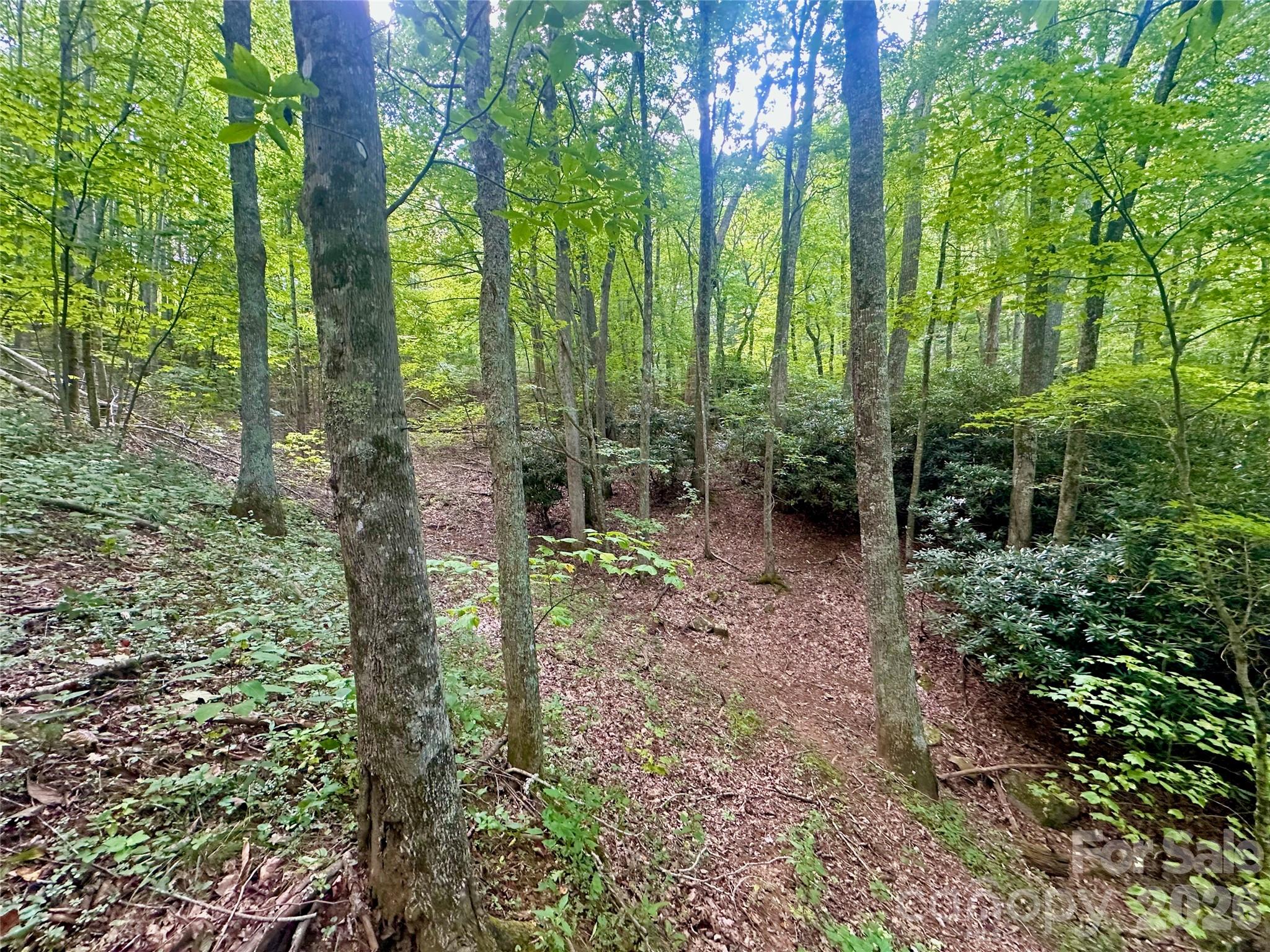 Tbd Old Anderson Quarry Road Property Photo 14