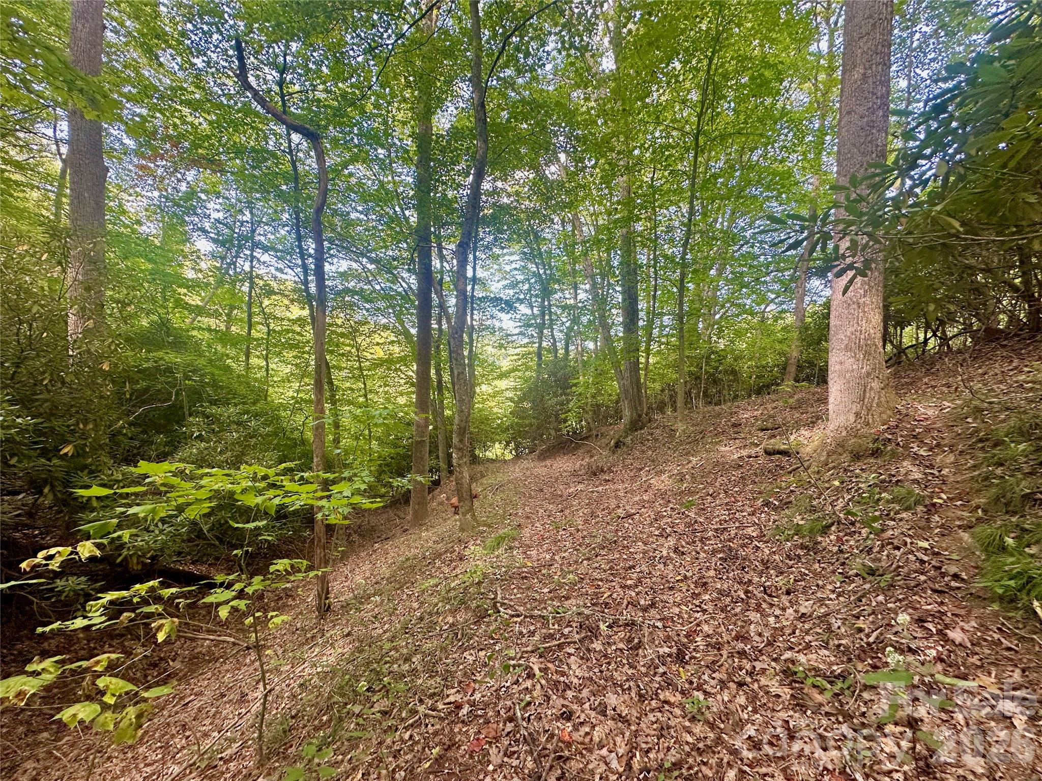 Tbd Old Anderson Quarry Road Property Photo 15