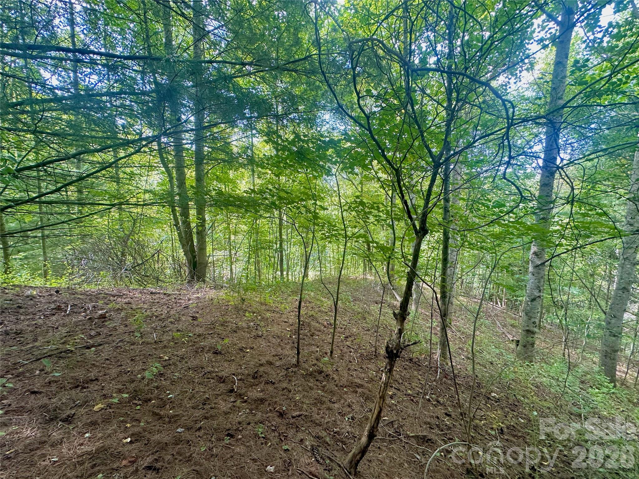 Tbd Old Anderson Quarry Road Property Photo 16